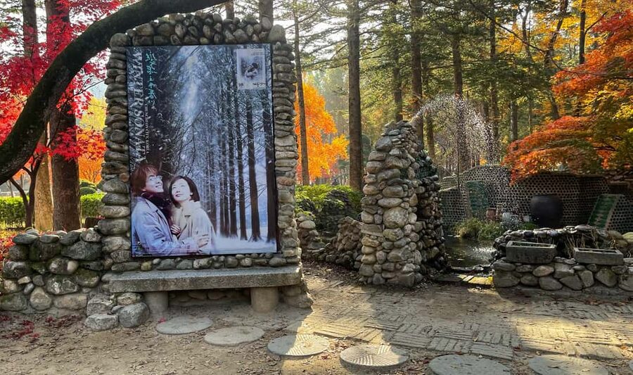From Seoul: Nami Island, K-drama Garden & Rail Bike Day Tour - Guides make a real difference
