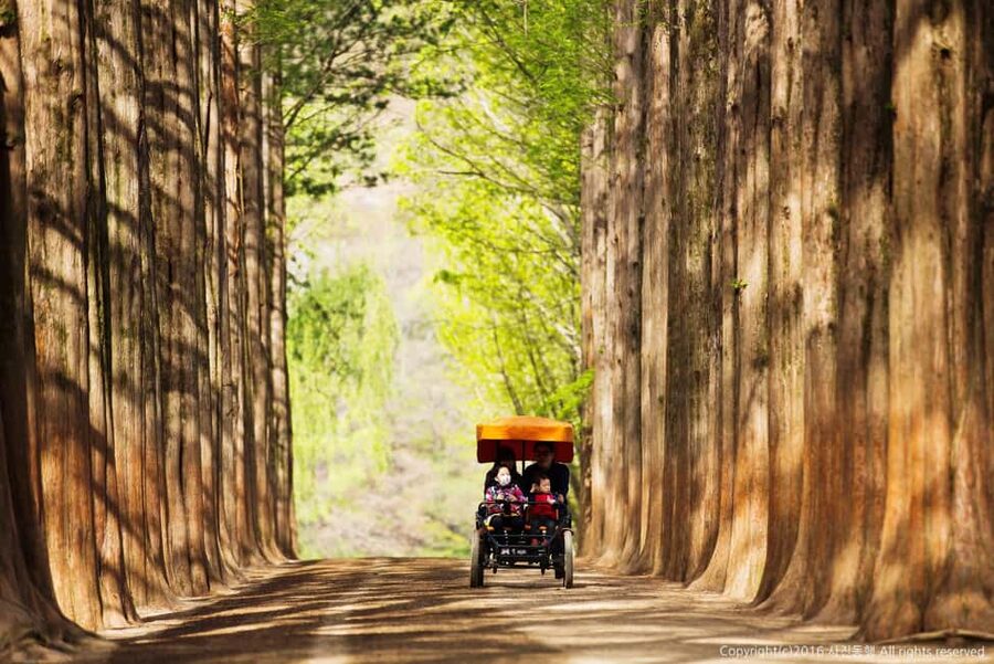 From Seoul: Nami Island, K-drama Garden & Rail Bike Day Tour - Who should book this day trip?