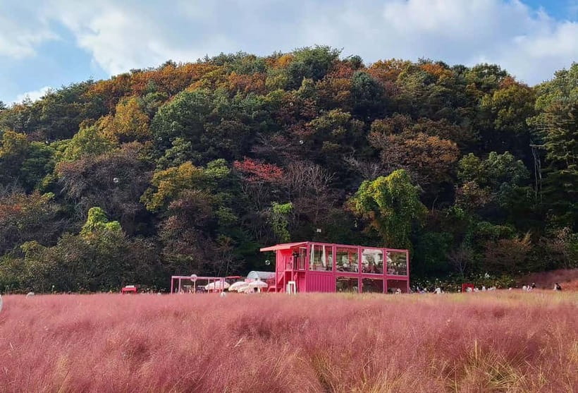 From Seoul: Pocheon, Sanjung Lake and Bidulginang Fall Trip - Why this Pocheon day trip works from Seoul