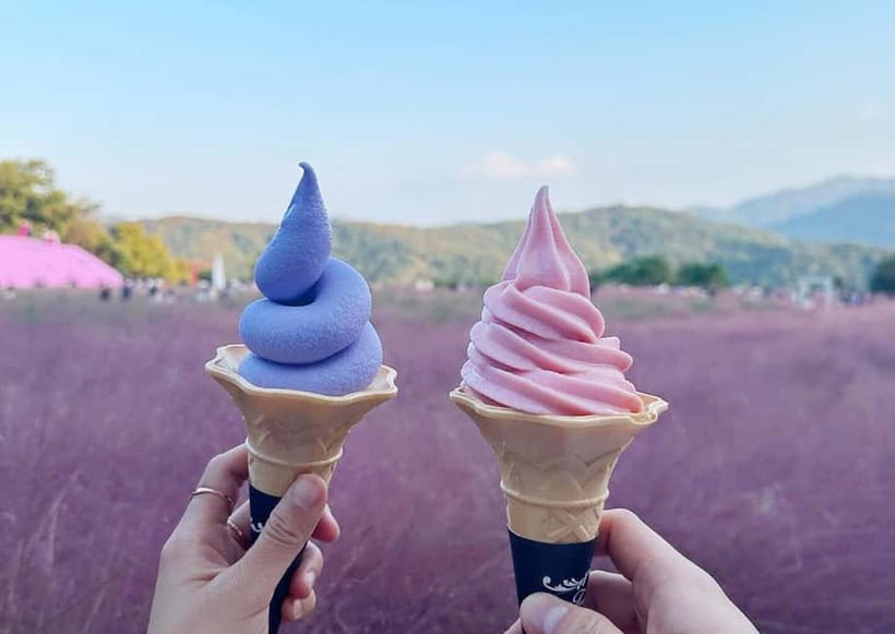 From Seoul: Pocheon, Sanjung Lake and Bidulginang Fall Trip - Herb Island: gardens, fragrance, and pink muhly