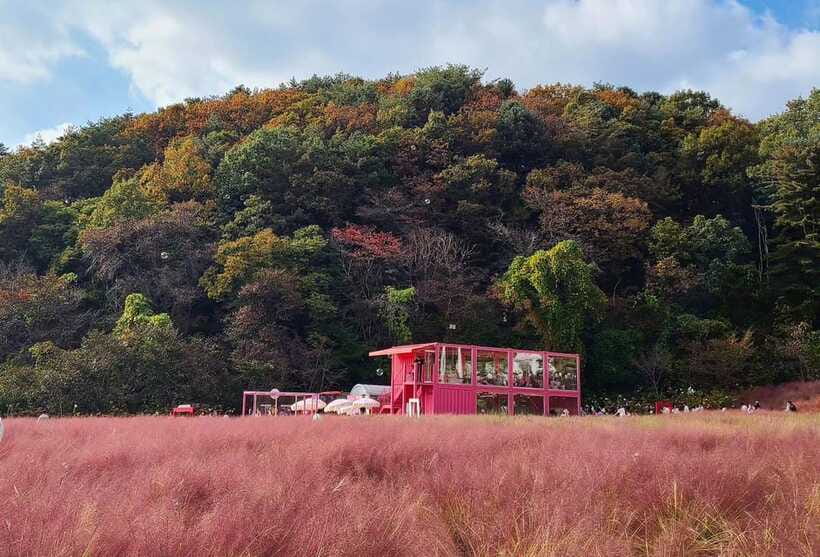 From Seoul: Pocheon, Sanjung Lake and Bidulginang Fall Trip - The best season for scenery