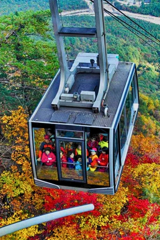 From Seoul: Seoraksan Mountain with Cable Car- Shuttle Bus - Practical booking advice