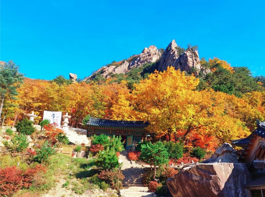 From Seoul: Seoraksan Mountain with Cable Car- Shuttle Bus - Autumn color, with no fixed guarantee