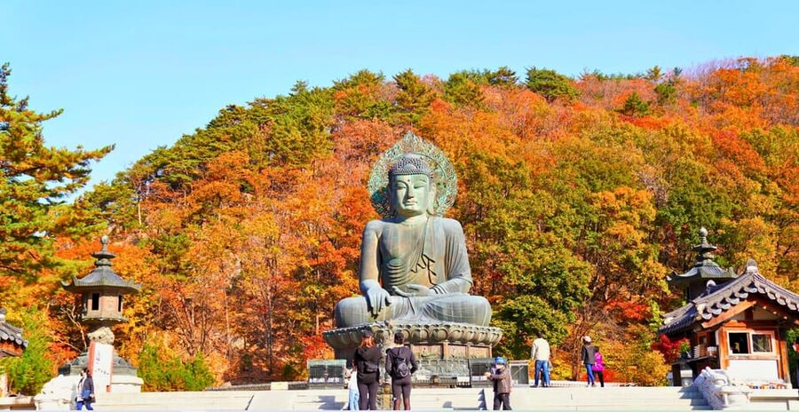 From Seoul: Seoraksan Mountain with Cable Car- Shuttle Bus - What the $67 price really covers