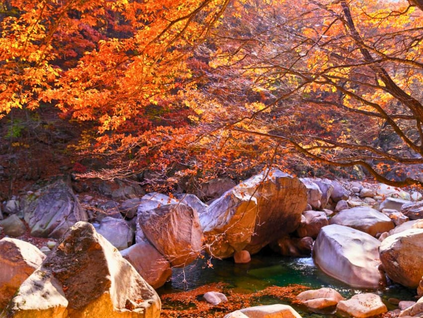 From Seoul: Seoraksan Mountain with Cable Car- Shuttle Bus - Weather, closures, and the need for a backup plan