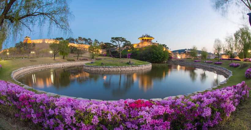 From Seoul: Suwon Hwaseong Fortress Night Tour - The Joseon Story Behind the Walls