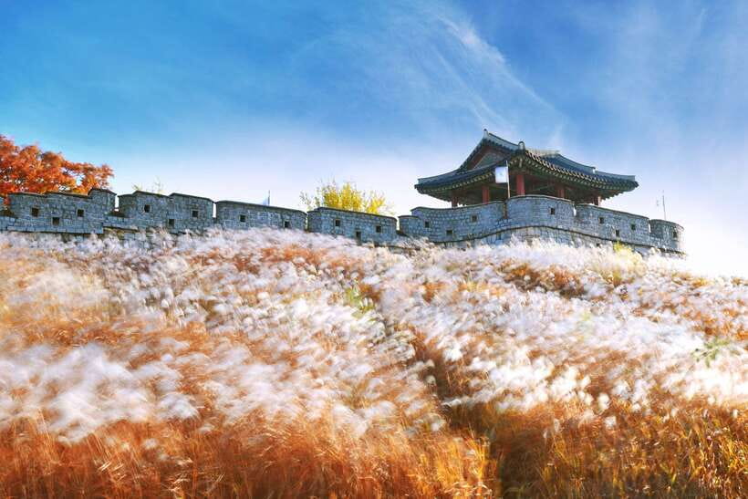 From Seoul: Suwon Hwaseong Fortress Tour - The ride from Seoul to Suwon