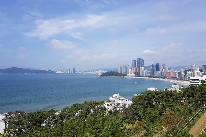 Full Day Busan Tour Including Haedong Yonggungsa Temple - Why this tour works as a first day in Busan