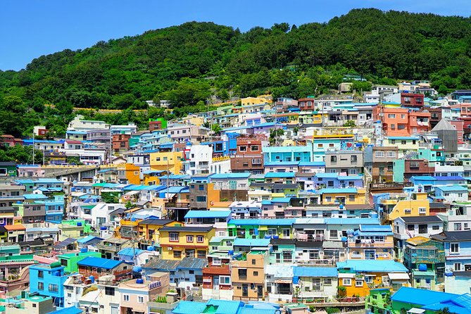 Full Day Private Busan Highlight Tour with Licensed Guide - Haeundae Beach and Centum City