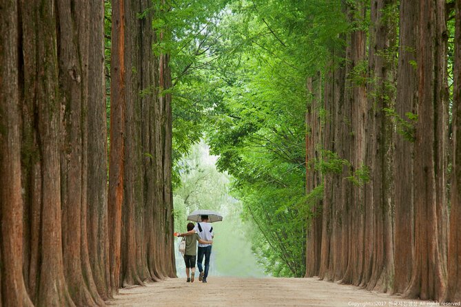 Full Day Private Tour Nami Island, Garden & Petite France - Lunch between the scenic stops