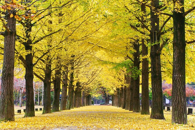 Full Day Private Tour Nami Island, Garden & Petite France - Petite France and Korea’s French-style village