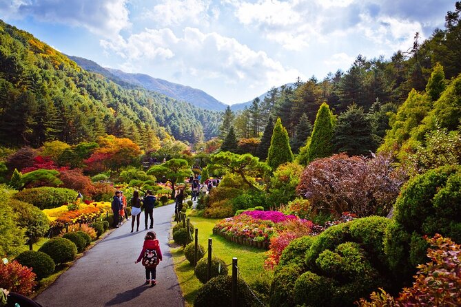 Full Day Private Tour Nami Island, Garden & Petite France - Pinocchio and Da Vinci in the Italian Village
