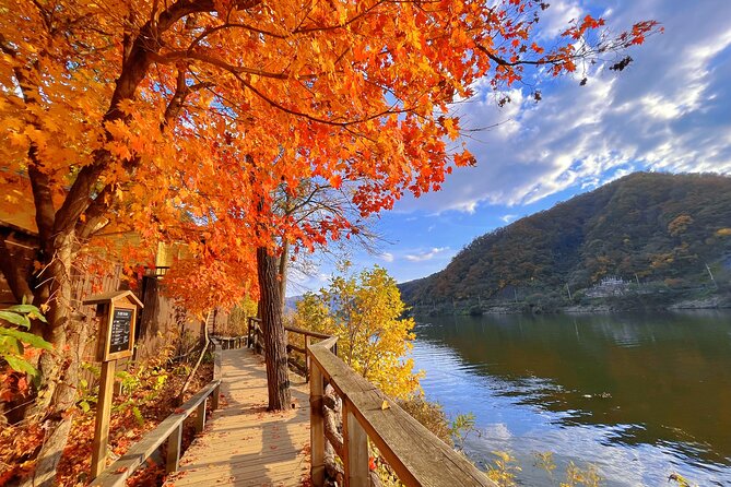 Full Day Private Tour Nami Island, Garden & Petite France - Is $260 per person good value?