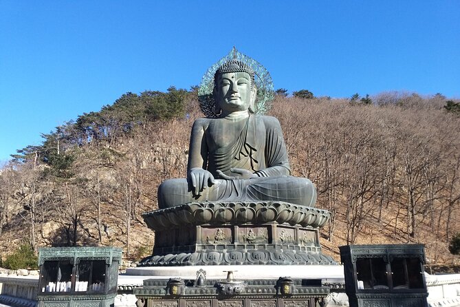 Full-Day Tour in Mt. Seorak & Nami (+Rail Bike Option) - Guides, transport, and the realities of a 14-hour day