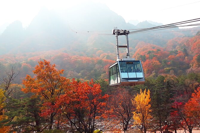 Full-Day Tour in Mt. Seorak & Nami (+Rail Bike Option) - The Gapyeong rail bike adds motion and scenery