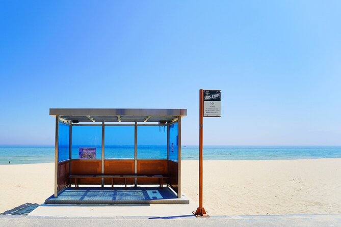 Full Day Tour In The Soop BTS Ver in PyeongChang Filming Location - The bus ride from Seoul, with BTS music and quizzes