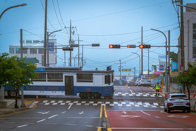 Full-Day Tour Unmissable things to do in Busan - Guides, vehicles, and the pace of the day