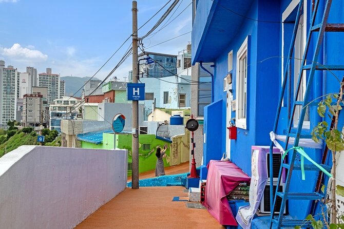 Full-Day Tour Unmissable things to do in Busan - Who gets the best value from the $38 price