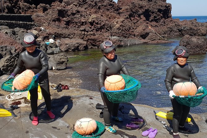 Fully Customizable Private Tour of Jeju Island - Olle trails, horseback riding, and tangerine picking