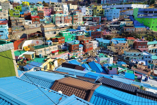 Gamcheon Culture Village, Jagalchi fish market story telling Tour - Jagalchi Market: Busan’s working waterfront