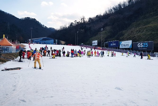Gangchon Elysian Ski Day Trip from Seoul - Picking the right Seoul meeting point