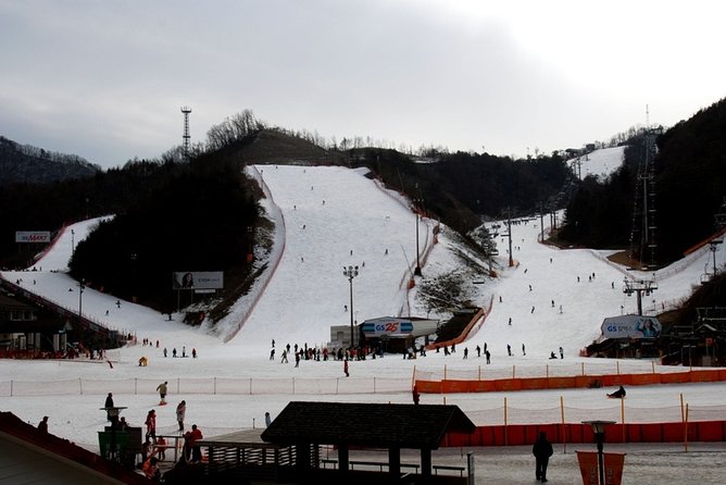 Gangchon Elysian Ski Day Trip from Seoul - Who will enjoy this day most?