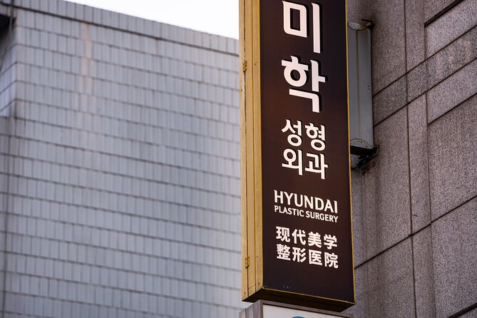 Gangnam Walking Tour on Youth and Society in Seoul Korea - Starting near Gangnam Station: wealth, housing, and rapid growth