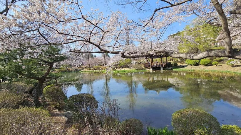 Gyeongju: Private Car Charter Taxi Tour - The eight-hour route for a fuller day