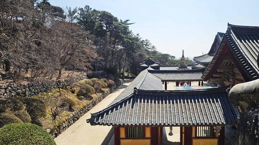 Gyeongju: Private Car Charter Taxi Tour - Night touring brings out Gyeongju’s best mood