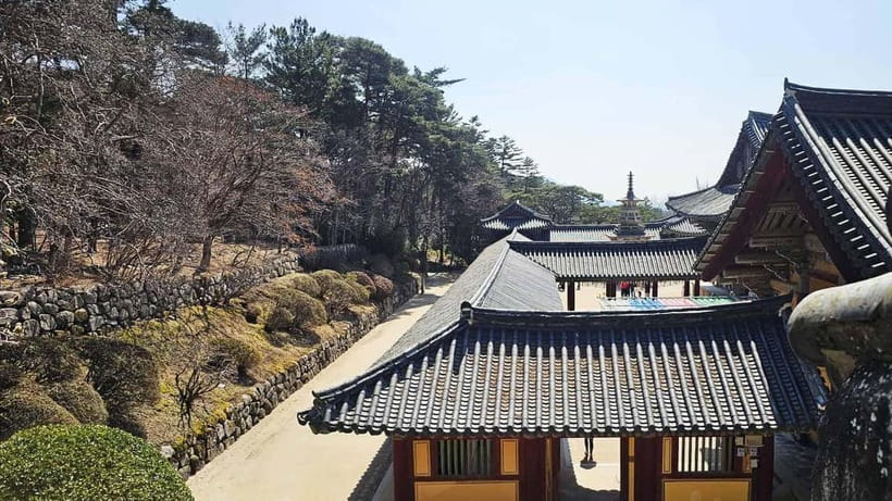 Gyeongju: Private Car Charter Taxi Tour - Price, insurance, and what you still pay
