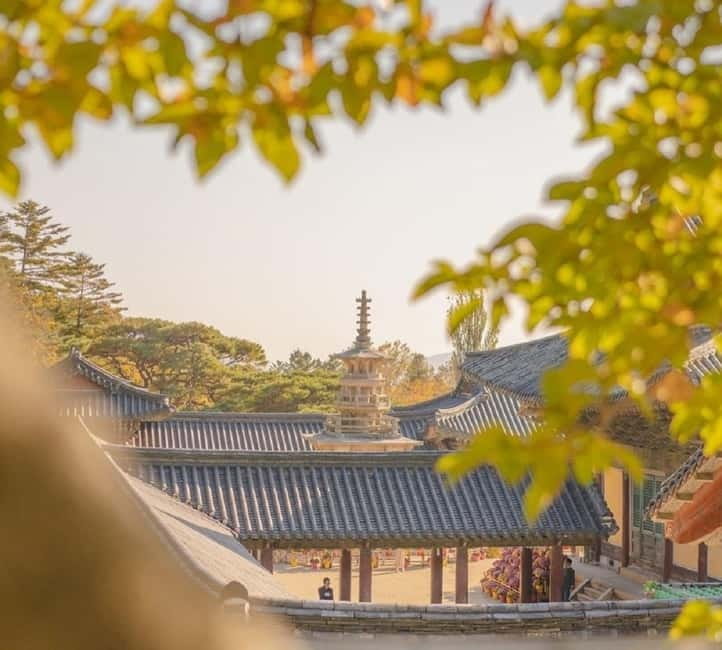 Gyeongju: Private Car Tour with a Licensed Tour Guide - Why a private car makes sense in Gyeongju