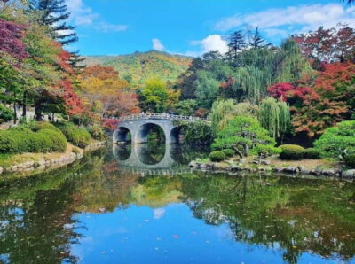 Private Car Tour with a Licensed Tour Guide