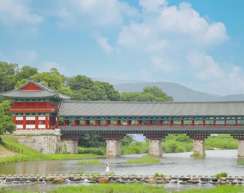 Gyeongju: Private Car Tour with a Licensed Tour Guide - Daereungwon and the royal tombs