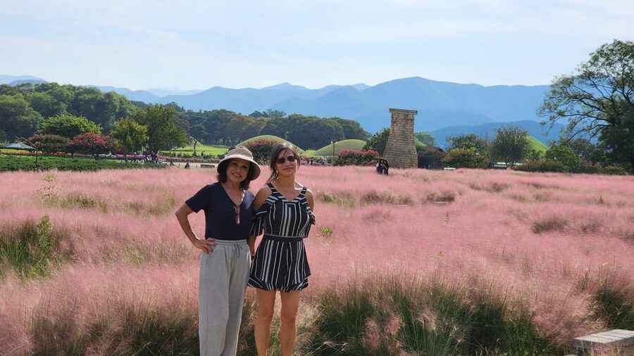 Gyeongju: Private Car Tour with a Licensed Tour Guide - Cheomseongdae and Silla science