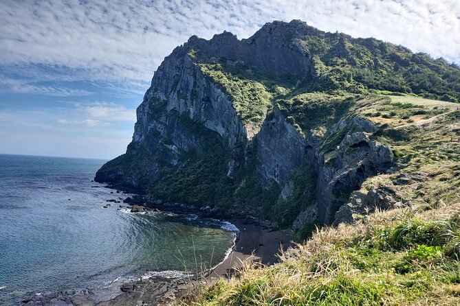 Half or Day Tour For Cruise customers arriving at Jeju City Port - Jeju Stone Park explains the island through rock