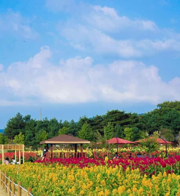 Hantan Canyon & Goseokjeong Flower Garden & Pink Muhly Park - Hantan Canyon’s volcanic rock and river views