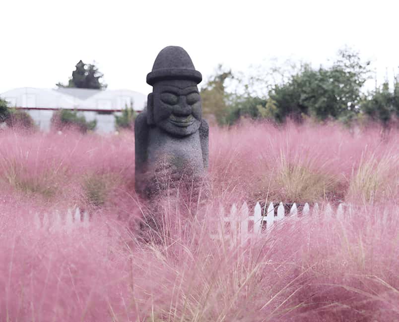 Jeju: 2026 Autumn Tour with Pink Muhly Festival Hotel Pickup - Why Jeju is especially good in autumn