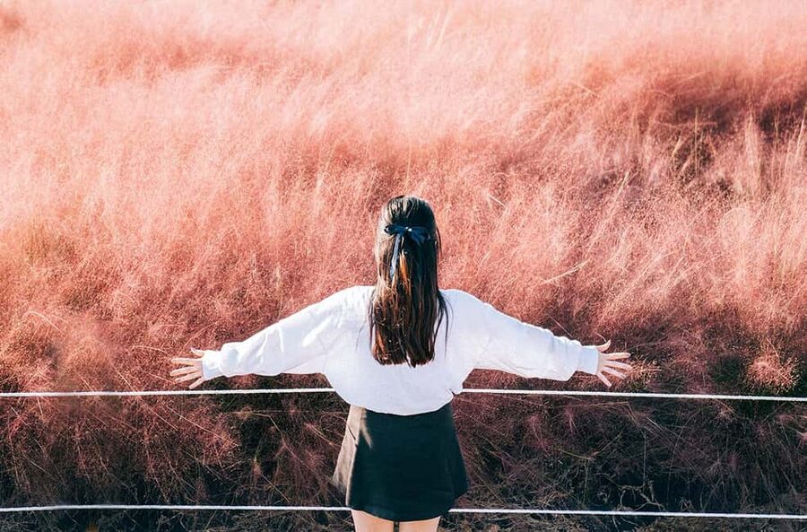 Jeju: 2026 Autumn Tour with Pink Muhly Festival Hotel Pickup - Silver grass around Sangumburi Crater