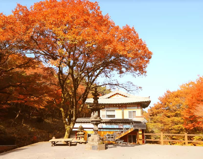 Jeju: 2026 Autumn Tour with Pink Muhly Festival Hotel Pickup - What the guides add to the day