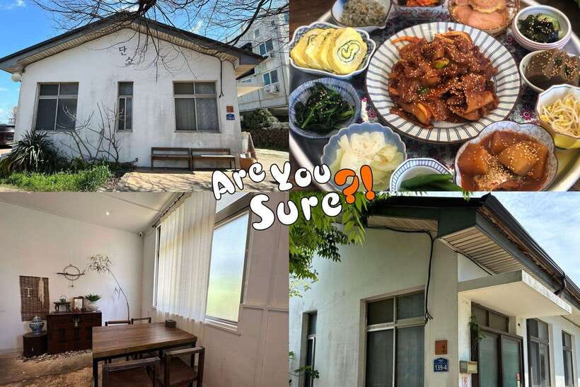 Jeju: BTS Are You Sure?! Filming Locations Private Taxi Tour - What the driver adds to the day