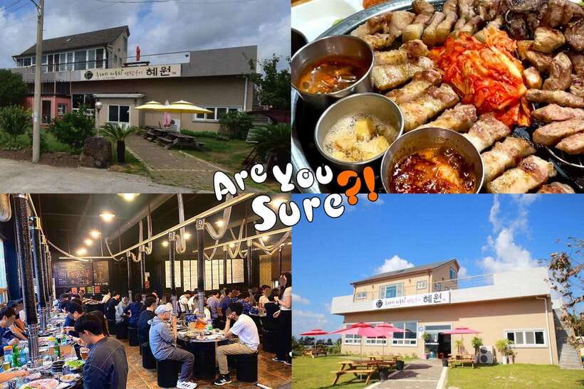 Jeju: BTS Are You Sure?! Filming Locations Private Taxi Tour - What is included, and what is not