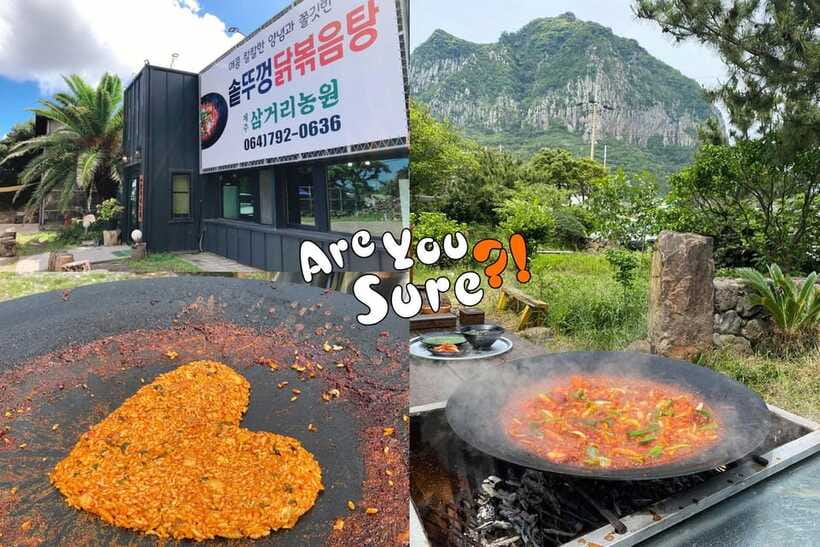 Jeju: BTS Are You Sure?! Filming Locations Private Taxi Tour - Is the tour good value for ARMYs?