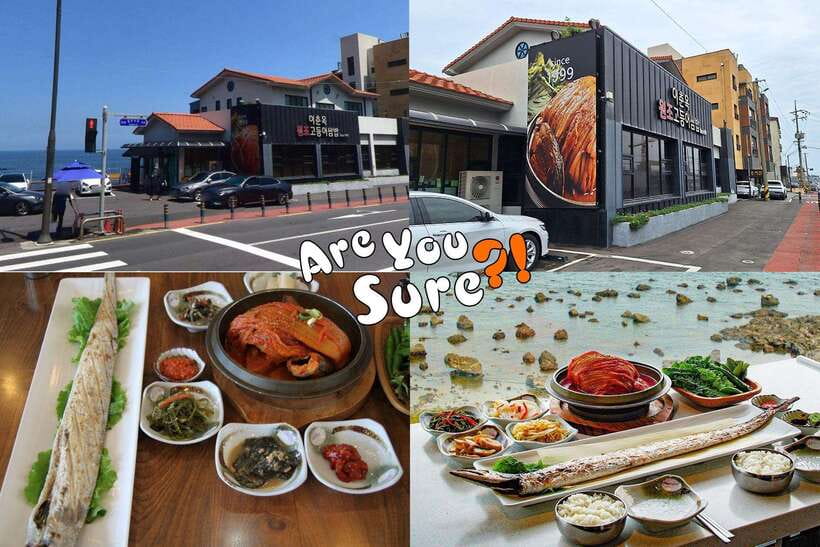 Jeju: BTS Are You Sure?! Filming Locations Private Taxi Tour - The five-hour route: a focused BTS day