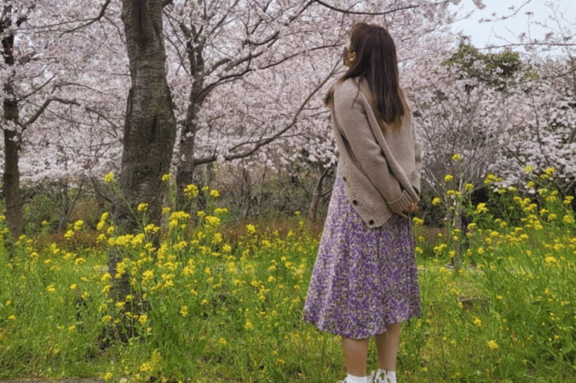 Jeju: Cherry Blossom South & West Day Tour with Hotel Pickup - Finishing at O’sulloc Green Tea Museum