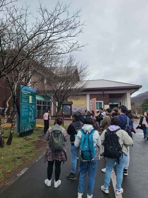 Jeju: Cherry Blossom South & West Day Tour with Hotel Pickup - Why this Jeju day tour works