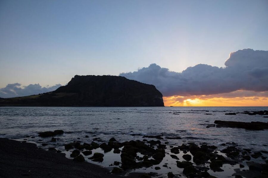 Jeju Cruise Shore Excursion Private Taxi Tour Car Charter - Food stops and the local-market option