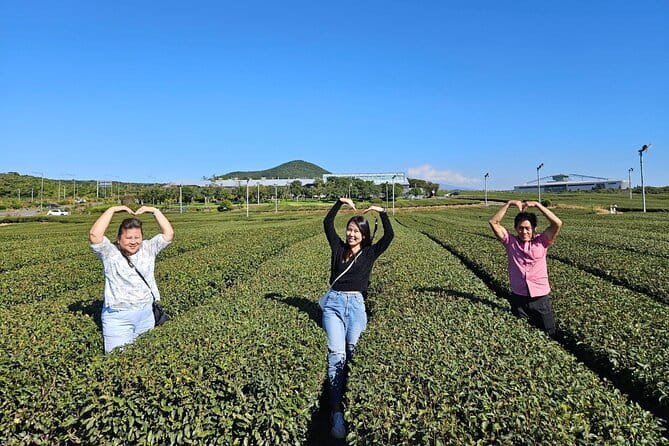 Jeju Customize Private VAN Tour of East or West or South (~8pax) - Building your day around Jeju’s three directions