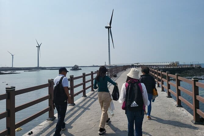 Jeju Customize Private VAN Tour of East or West or South (~8pax) - Hallasan and a one-hour Oreum walk