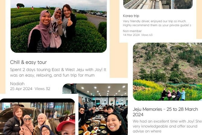Jeju Customize Private VAN Tour of East or West or South (~8pax) - Mysterious Road and the simple gravity trick