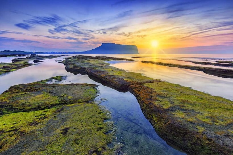 Jeju: Customized Private Vehicle Day Tour - Western Jeju for beaches, gardens, and family stops